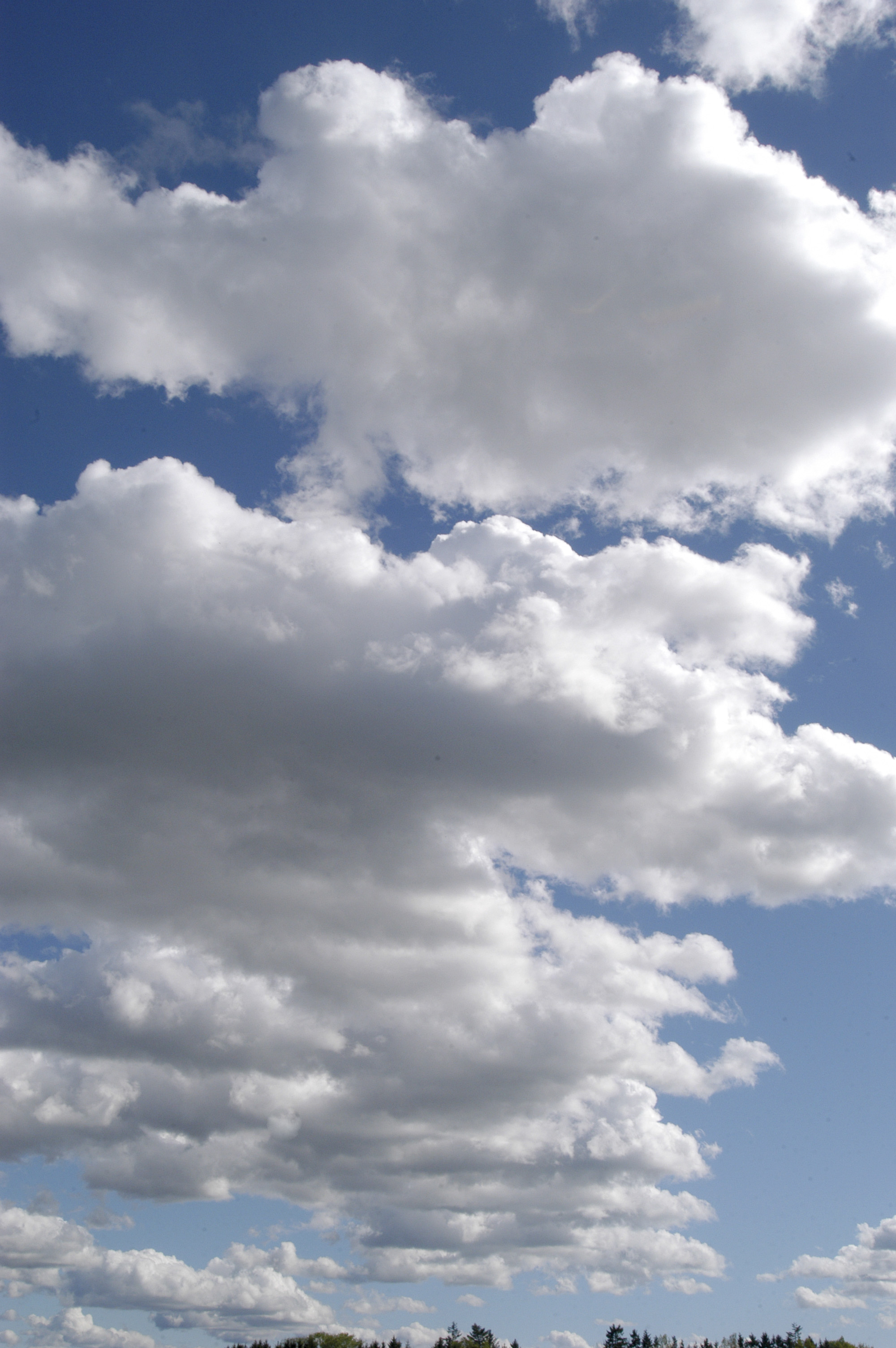 En rad med cumulusmoln en så kallad molngata. Foto: Jan Andersson